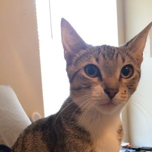 Meet your Posher, Kaylin